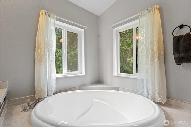 bathroom featuring a bath and vanity
