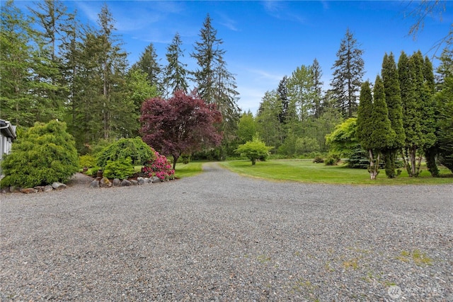 view of dirt / gravel road