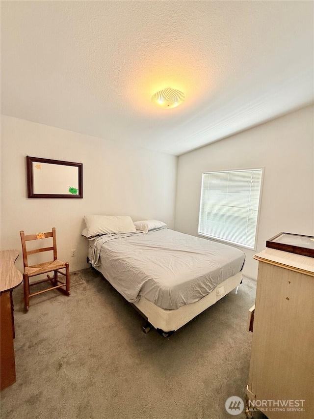 84 Weatherstone Rd, Omak, WA 98841 - bedroom featuring carpet floors and a textured ceiling
