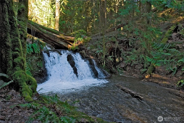 view of local wilderness