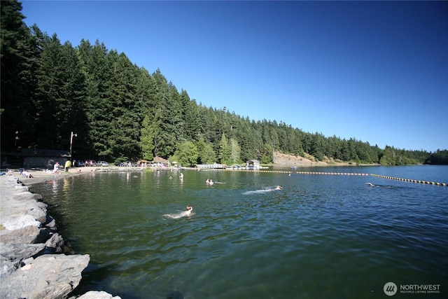 water view featuring a forest