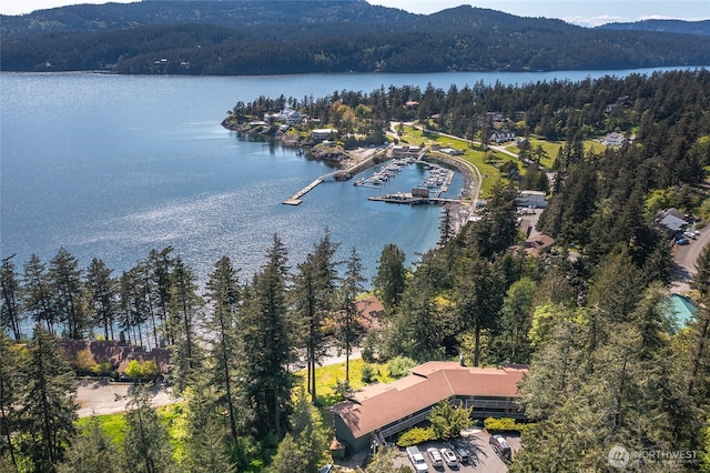 bird's eye view featuring a forest view and a water and mountain view