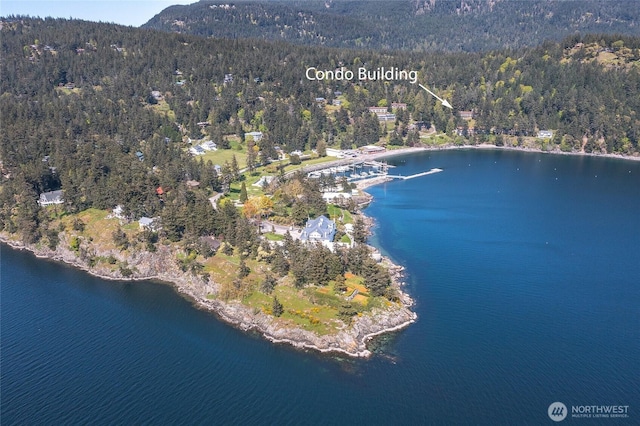 aerial overview of property's location with a heavily wooded area and a water and mountain view