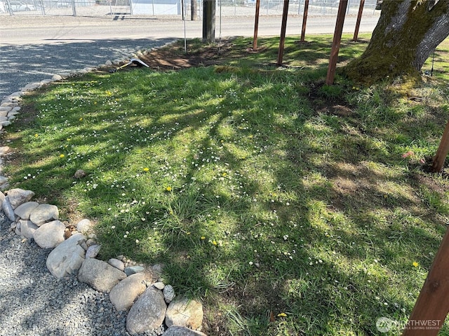view of yard