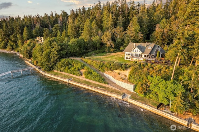 drone / aerial view with a water view and a view of trees