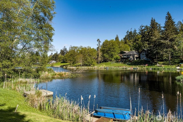 property view of water