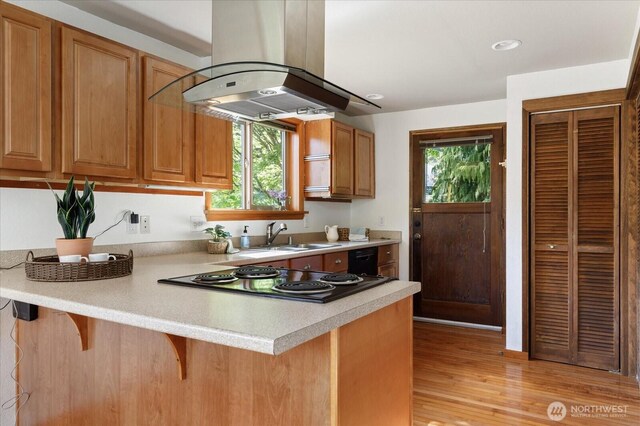 kitchen with light countertops, island range hood, a sink, and stovetop