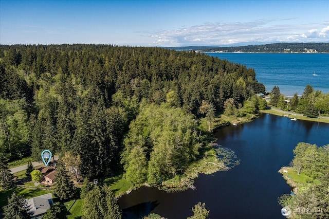 drone / aerial view with a water view and a wooded view