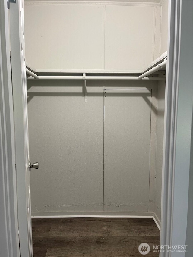 611 Cedar Ave Unit 33, Port Hadlock, WA 98339 - walk in closet featuring dark wood-style flooring