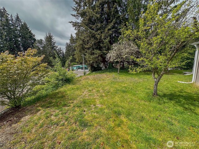 view of yard with a view of trees