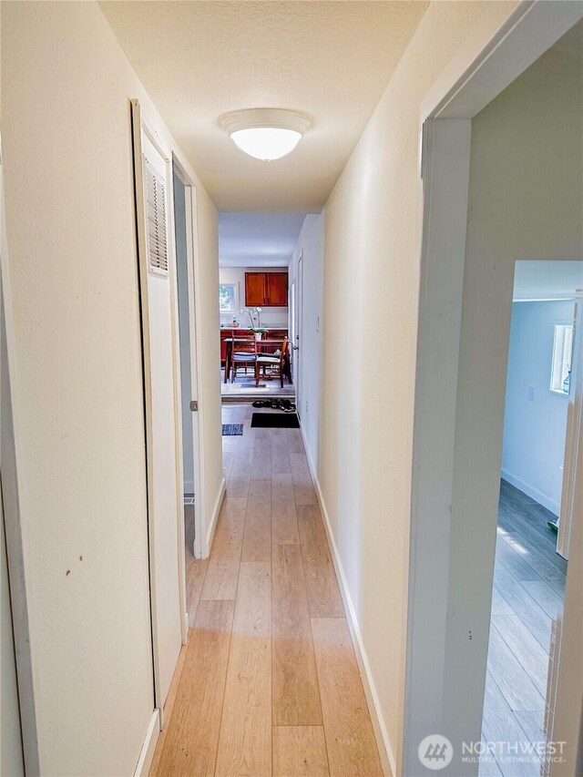 hall featuring baseboards, light wood finished floors, and a healthy amount of sunlight