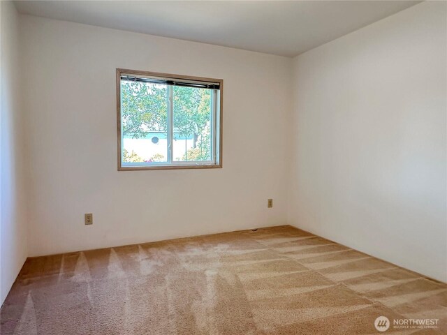 empty room featuring carpet