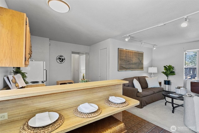 living room featuring track lighting and dark carpet