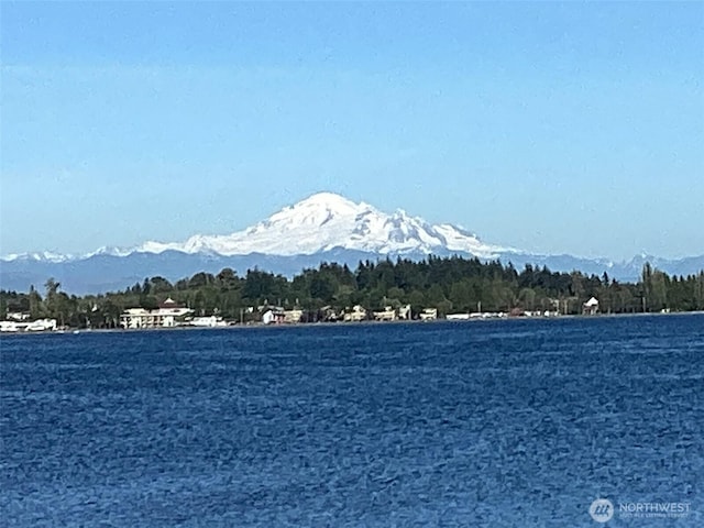 property view of water with a mountain view