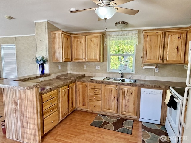 kitchen with a sink, a peninsula, white appliances, a ceiling fan, and light wood-style flooring