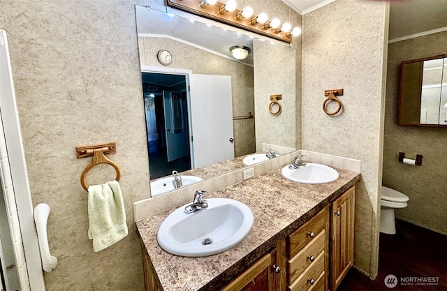 bathroom with a sink, crown molding, and lofted ceiling