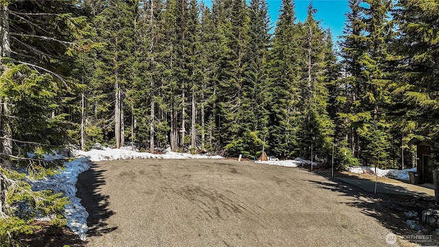 4-XX Cascade Pl, Snoqualmie Pass, WA 98068