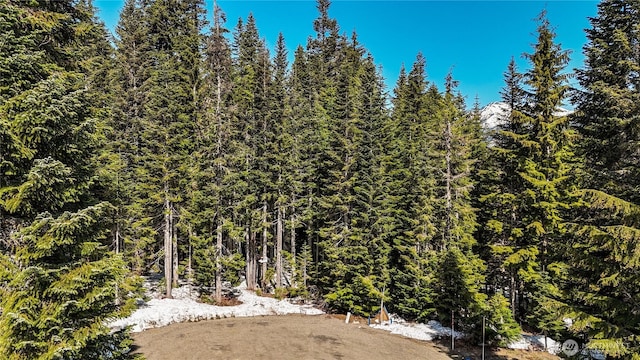 4-XX Cascade Pl, Snoqualmie Pass, WA 98068