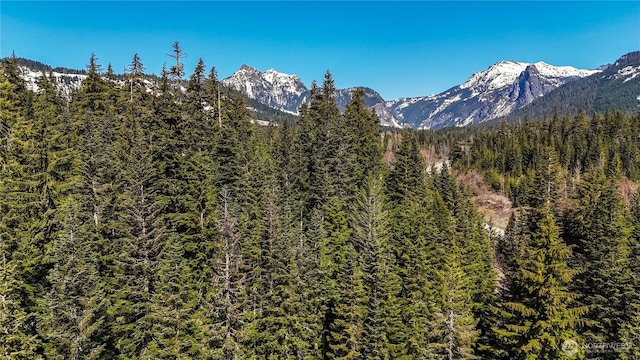 4-XX Cascade Pl, Snoqualmie Pass, WA 98068