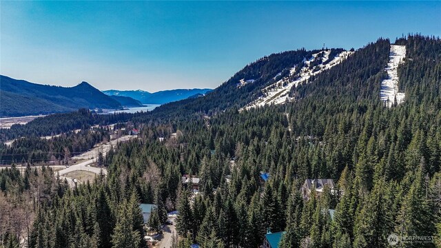 4-XX Cascade Pl, Snoqualmie Pass, WA 98068