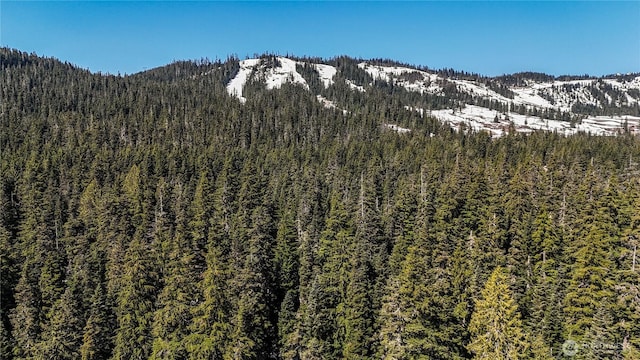 4-XX Cascade Pl, Snoqualmie Pass, WA 98068