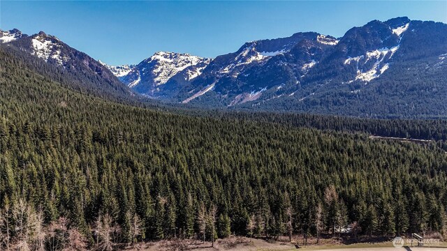 4-XX Cascade Pl, Snoqualmie Pass, WA 98068