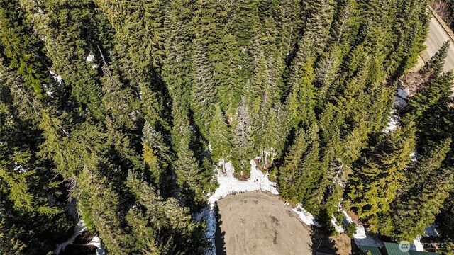 4-XX Cascade Pl, Snoqualmie Pass, WA 98068