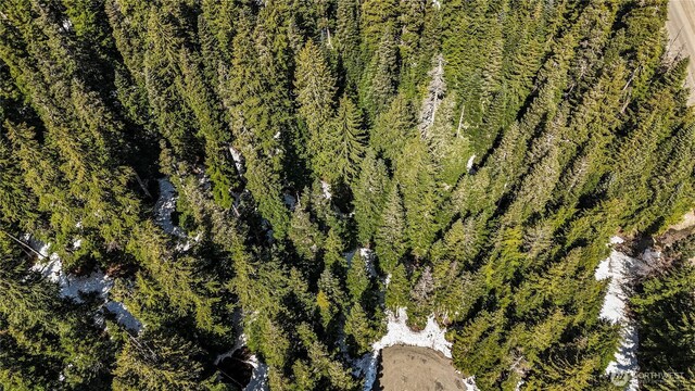 4-XX Cascade Pl, Snoqualmie Pass, WA 98068
