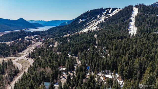 4-XX Cascade Pl, Snoqualmie Pass, WA 98068