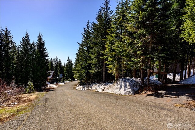 4-XX Cascade Pl, Snoqualmie Pass, WA 98068