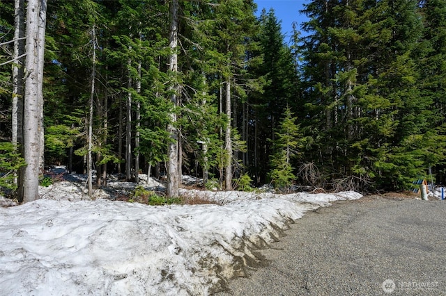 4-XX Cascade Pl, Snoqualmie Pass, WA 98068