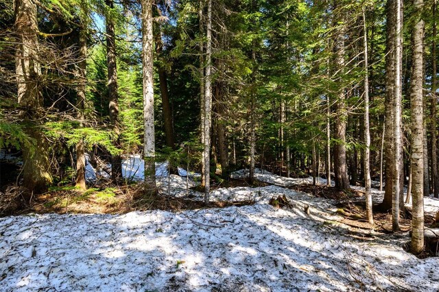 4-XX Cascade Pl, Snoqualmie Pass, WA 98068