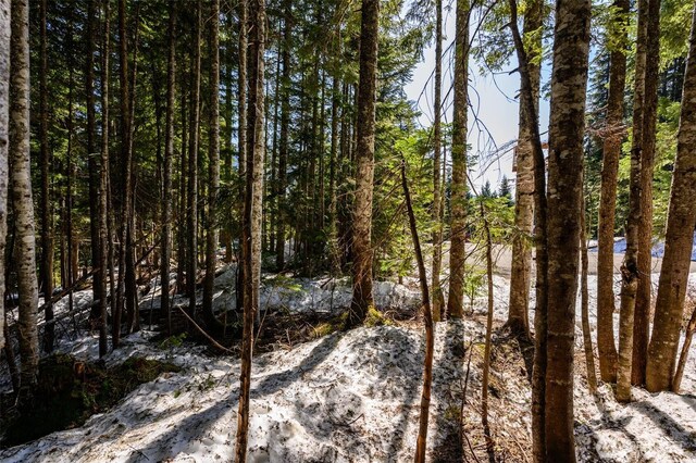 4-XX Cascade Pl, Snoqualmie Pass, WA 98068
