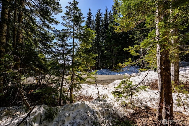 4-XX Cascade Pl, Snoqualmie Pass, WA 98068