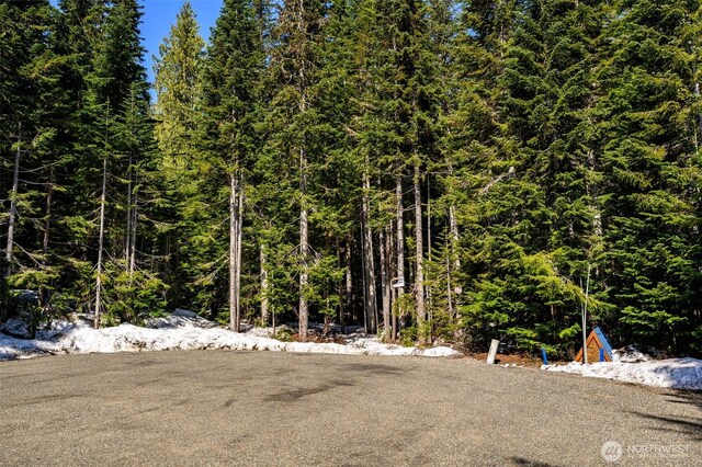 4-XX Cascade Pl, Snoqualmie Pass, WA 98068