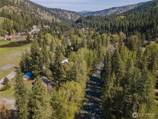 aerial view featuring a mountain view and a wooded view