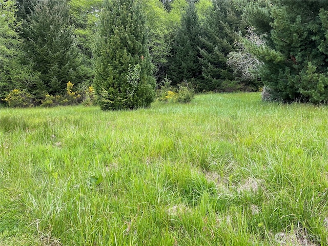 0XXXX SE 224th St, Kent WA, 98042 land for sale