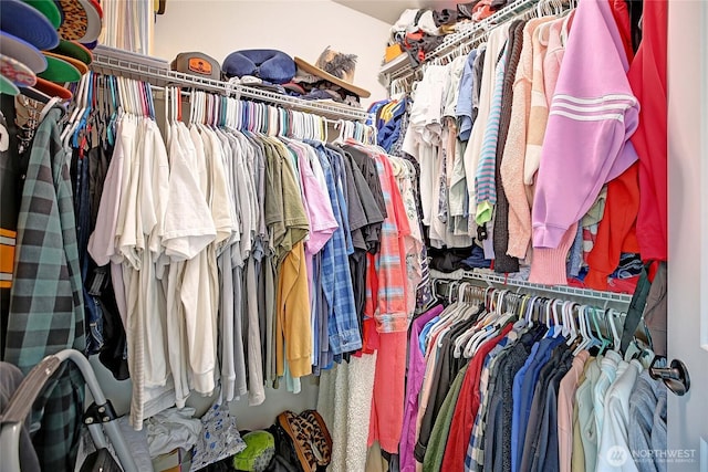 view of spacious closet
