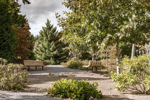view of property's community
