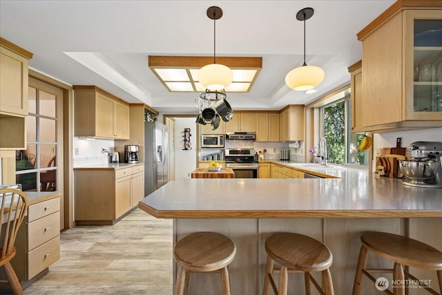 kitchen featuring a peninsula, a raised ceiling, under cabinet range hood, a sink, and appliances with stainless steel finishes