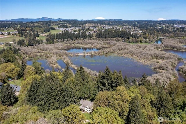 bird's eye view with a view of trees and a water and mountain view