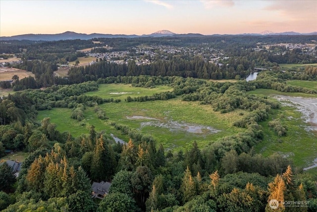 32501 NW Eagle Crest Dr, Ridgefield, WA 98642 - photo 29