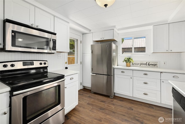kitchen featuring light countertops, white cabinets, and stainless steel appliances