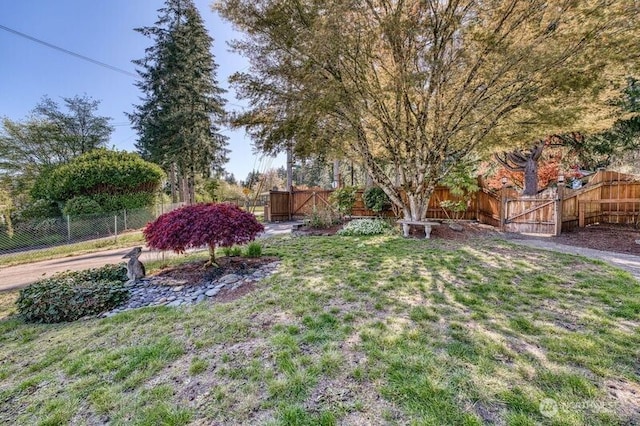 view of yard featuring fence and a gate