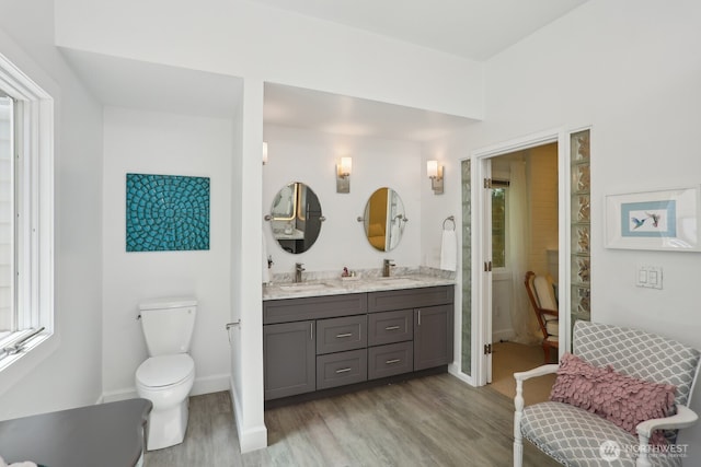 bathroom featuring wood finished floors, toilet, and double vanity