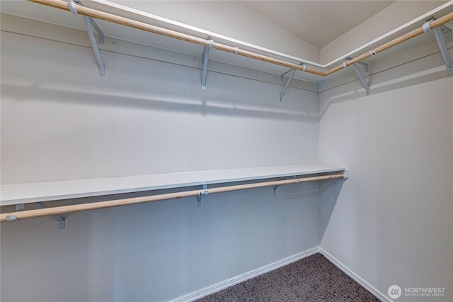 walk in closet featuring carpet floors