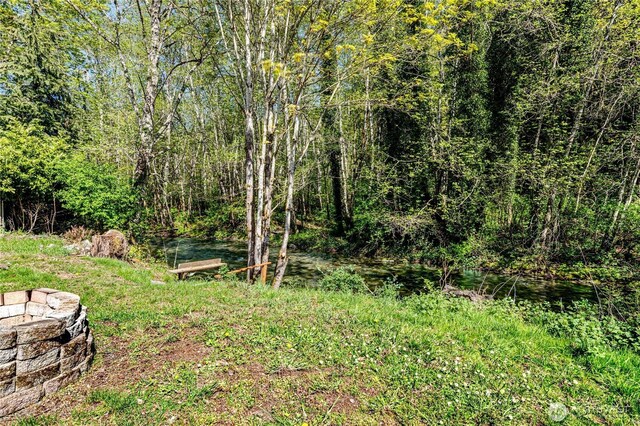 view of yard with a wooded view
