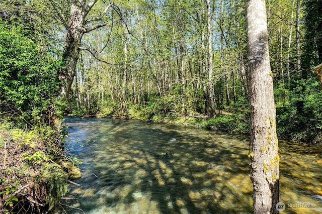 view of water feature