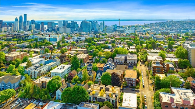 421 Malden Ave E, Seattle, WA 98112 - bird's eye view of city skyline