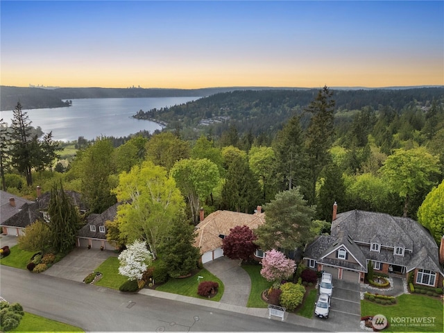 aerial view at dusk featuring a water view and a forest view